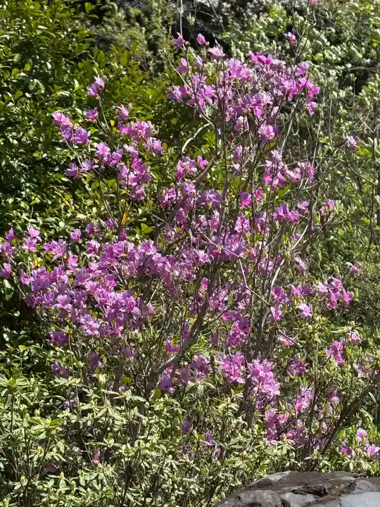 善住禅寺の{uncategorized: "未分類", other: "その他", undefined: "問題あり", building: "その他建物", grave: "お墓", sacred_gate: "鳥居", guardian: "狛犬", statue: "像", buddha: "仏像", history: "歴史", nature: "自然", garden: "庭園", animal: "動物", pagoda: "塔", temizu: "手水舎", mountain_gate: "山門・神門", sanctuary: "本殿・本堂", subordinate: "末社・摂社", art: "芸術", scenery: "景色", jizo: "地蔵", ema: "絵馬", goshuin: "御朱印", omikuji: "おみくじ", items: "授与品その他", amulet: "お守り", goshuincho: "御朱印帳", eats: "食事", festival: "お祭り", votive_dance: "神楽", shichigosan: "七五三参", wedding: "結婚式", experience: "体験その他", initially: "初詣", around: "周辺", anti_infection: "感染症対策"}