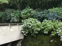 高幡不動尊 金剛寺(東京都)