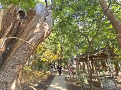 生田神社(兵庫県)