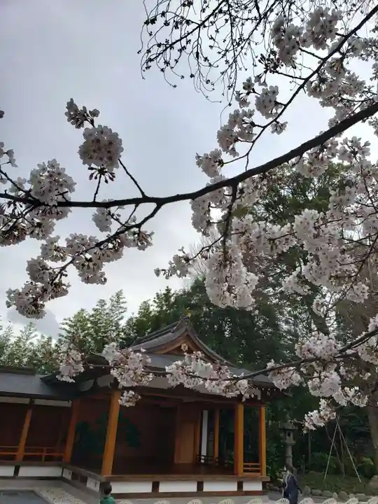 阿佐ヶ谷神明宮のその他建物