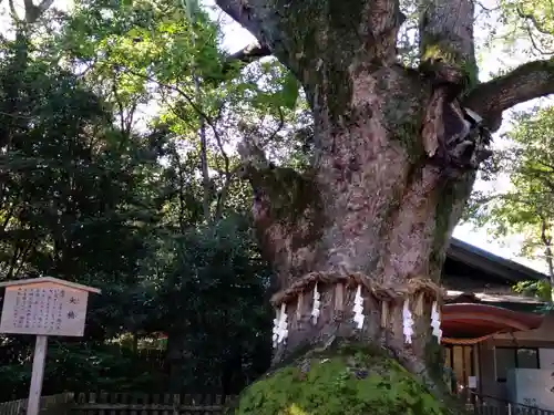 熱田神宮の自然