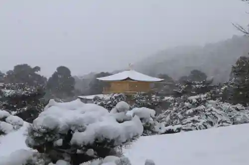 鹿苑寺（金閣寺）の{uncategorized: "未分類", other: "その他", undefined: "問題あり", building: "その他建物", grave: "お墓", sacred_gate: "鳥居", guardian: "狛犬", statue: "像", buddha: "仏像", history: "歴史", nature: "自然", garden: "庭園", animal: "動物", pagoda: "塔", temizu: "手水舎", mountain_gate: "山門・神門", sanctuary: "本殿・本堂", subordinate: "末社・摂社", art: "芸術", scenery: "景色", jizo: "地蔵", ema: "絵馬", goshuin: "御朱印", omikuji: "おみくじ", items: "授与品その他", amulet: "お守り", goshuincho: "御朱印帳", eats: "食事", festival: "お祭り", votive_dance: "神楽", shichigosan: "七五三参", wedding: "結婚式", experience: "体験その他", initially: "初詣", around: "周辺", anti_infection: "感染症対策"}