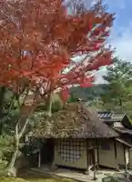高台寺(高台寿聖禅寺・高臺寺)(京都府)