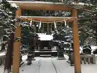 北海道神宮の鳥居