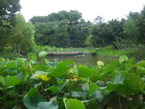 鶴岡八幡宮の庭園