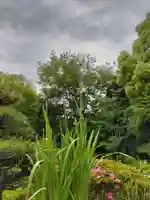 狭山山不動寺の山門・神門