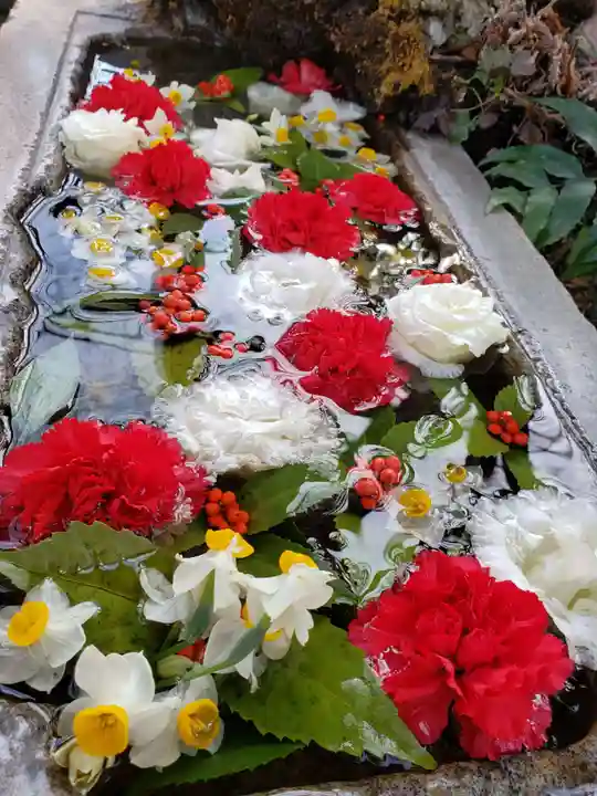 本郷氷川神社(東京都)