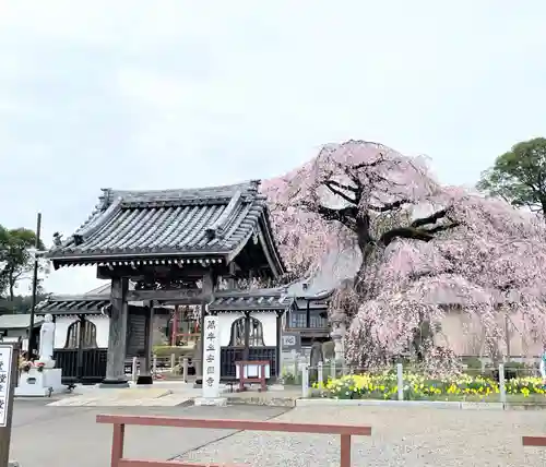 安国寺のその他建物