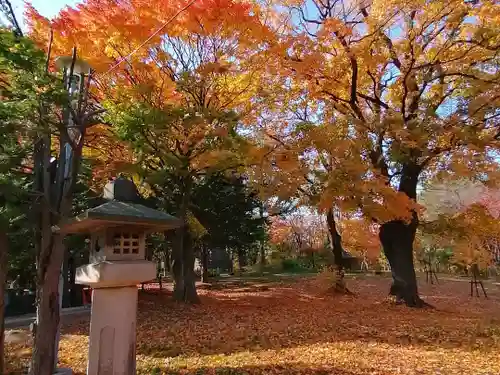 月寒神社の自然