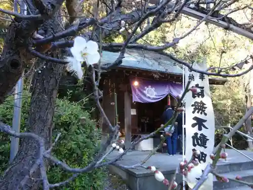 白根神社の初詣