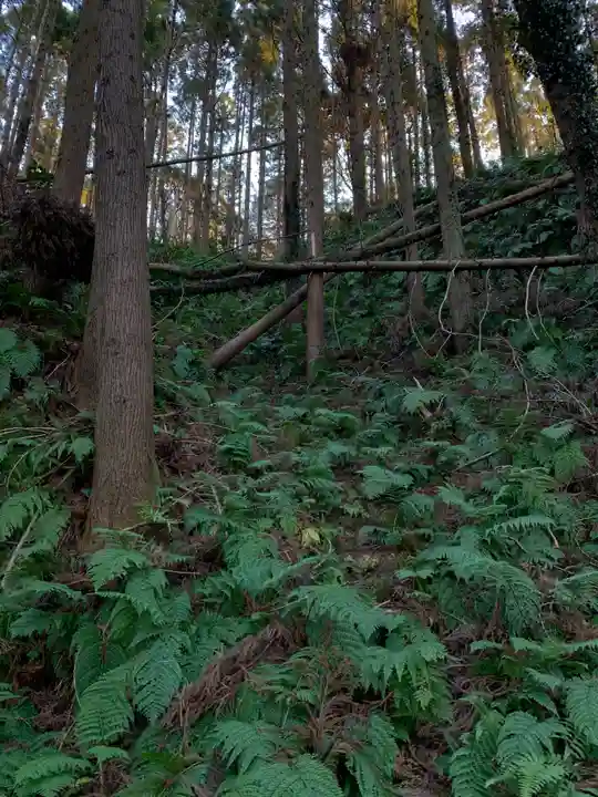 浅間神社の自然