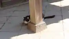 雀神社の動物