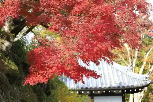 善峯寺(京都府)