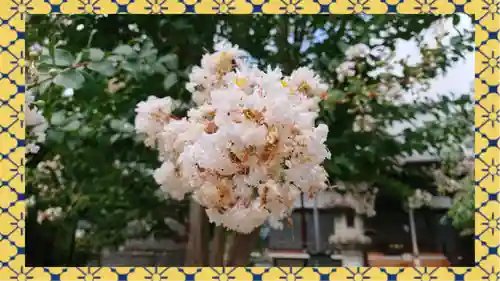 大蔵院(群馬県)