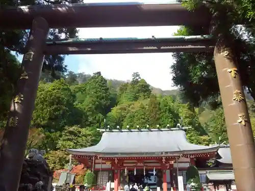 大山阿夫利神社の鳥居