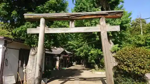 厳嶋神社の鳥居