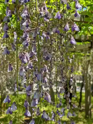 三大神社(滋賀県)