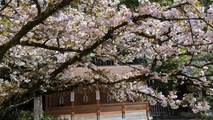平野神社(京都府)