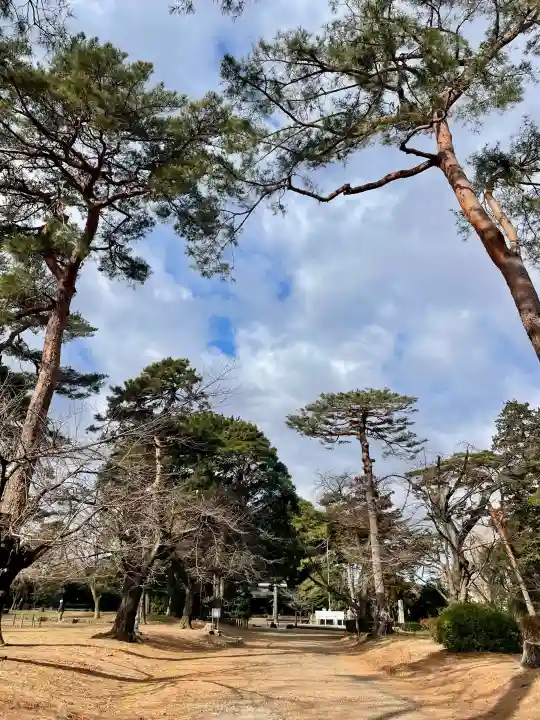 埼玉縣護國神社の{uncategorized: "未分類", other: "その他", undefined: "問題あり", building: "その他建物", grave: "お墓", sacred_gate: "鳥居", guardian: "狛犬", statue: "像", buddha: "仏像", history: "歴史", nature: "自然", garden: "庭園", animal: "動物", pagoda: "塔", temizu: "手水舎", mountain_gate: "山門・神門", sanctuary: "本殿・本堂", subordinate: "末社・摂社", art: "芸術", scenery: "景色", jizo: "地蔵", ema: "絵馬", goshuin: "御朱印", omikuji: "おみくじ", items: "授与品その他", amulet: "お守り", goshuincho: "御朱印帳", eats: "食事", festival: "お祭り", votive_dance: "神楽", shichigosan: "七五三参", wedding: "結婚式", experience: "体験その他", initially: "初詣", around: "周辺", anti_infection: "感染症対策"}