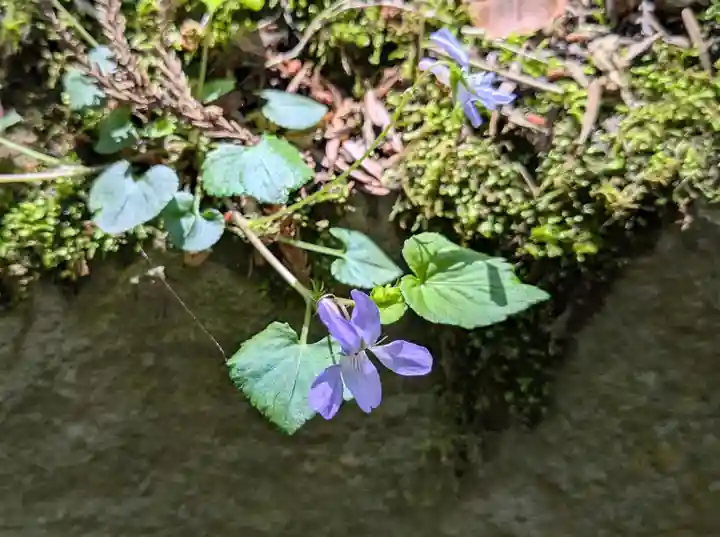 中尊寺(岩手県)
