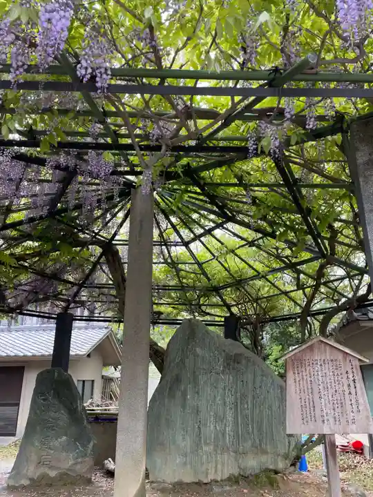 藤森神社の自然