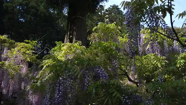歌泉堂(春日大社神苑萬葉植物園内鎮座)(奈良県)