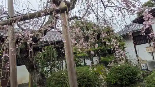 得浄明院（善光寺別院）(京都府)