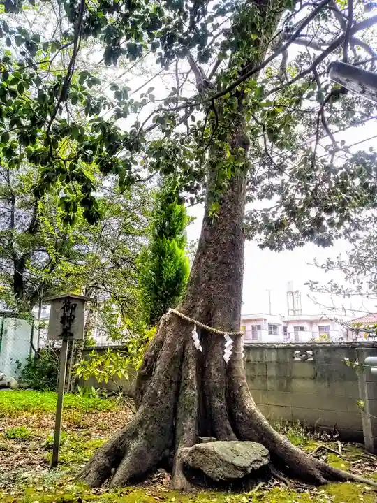 八幡社(吹上八幡社)の自然
