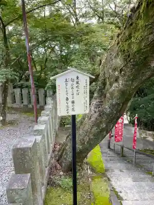 岩津天満宮のその他建物