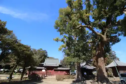 鑁阿寺(栃木県)