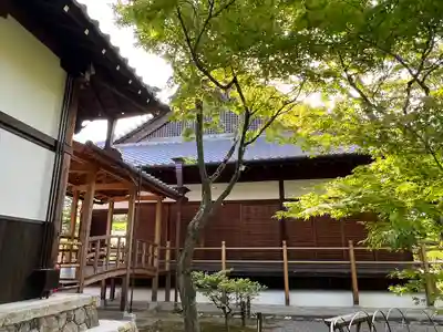 等持院の本殿・本堂