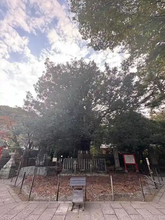 熊野速玉大社(和歌山県)