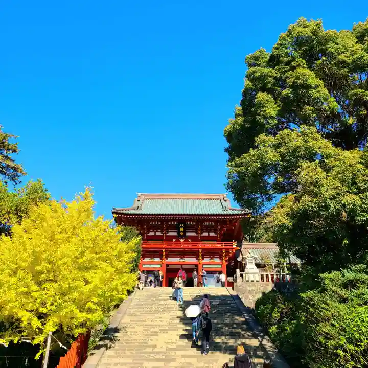 鶴岡八幡宮の本殿・本堂