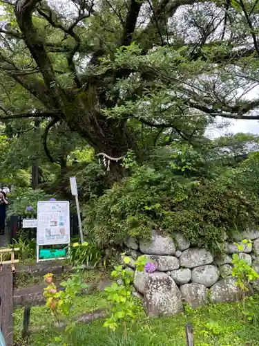 久安寺(大阪府)