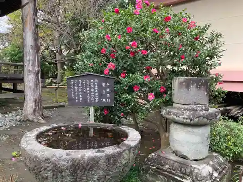 極楽寺（霊鷲山感應院極楽律寺）の手水舎