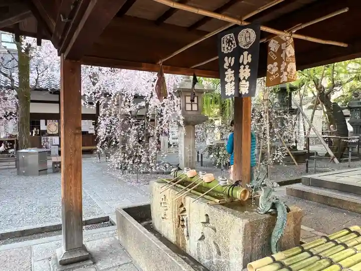 頂法寺(六角堂)(京都府)