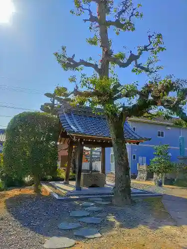 円長寺の手水舎