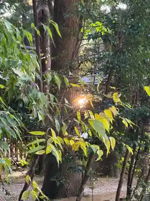 鹿島神宮(茨城県)