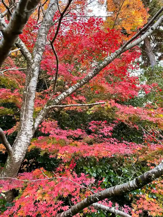 吸湖山 青岸寺(滋賀県)