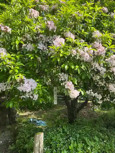 長泉院(埼玉県)
