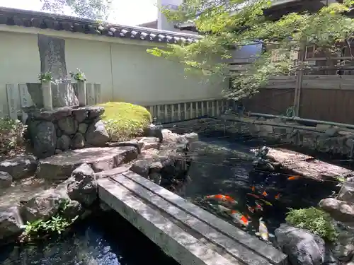 妙顯寺（妙顕寺）(京都府)