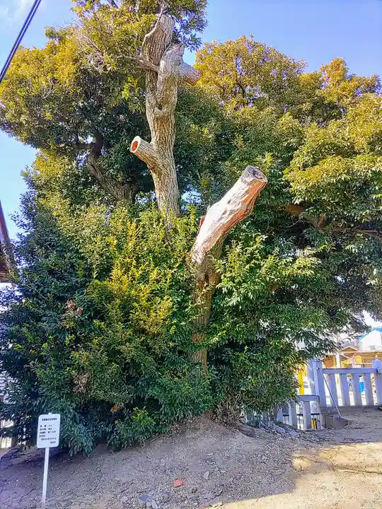 下谷八幡神社の自然