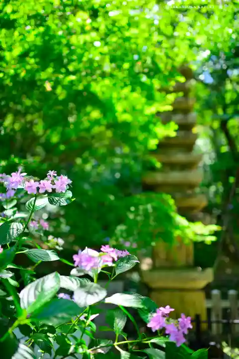 高幡不動尊 金剛寺(東京都)