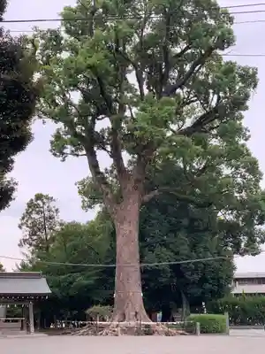 健軍神社(熊本県)