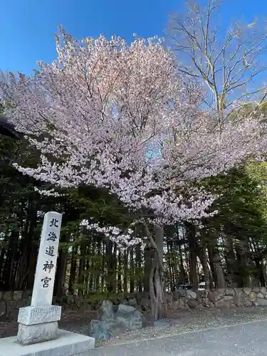 北海道神宮の自然