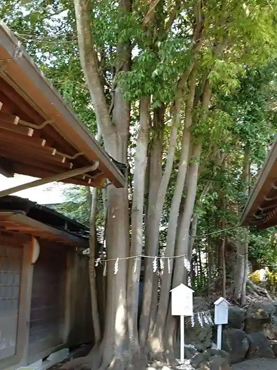 検見川神社(千葉県)