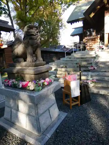 札幌諏訪神社の狛犬