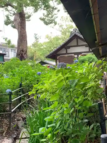 藤森神社の庭園