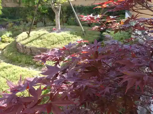 寿量山　速成寺(奈良県)