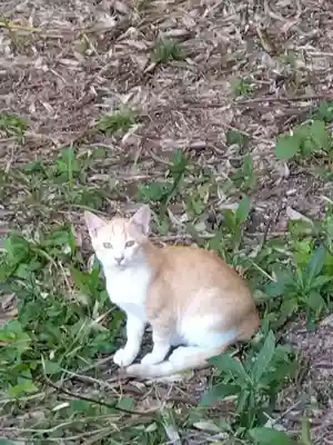 五郎兵衛稲荷神社(茨城県)